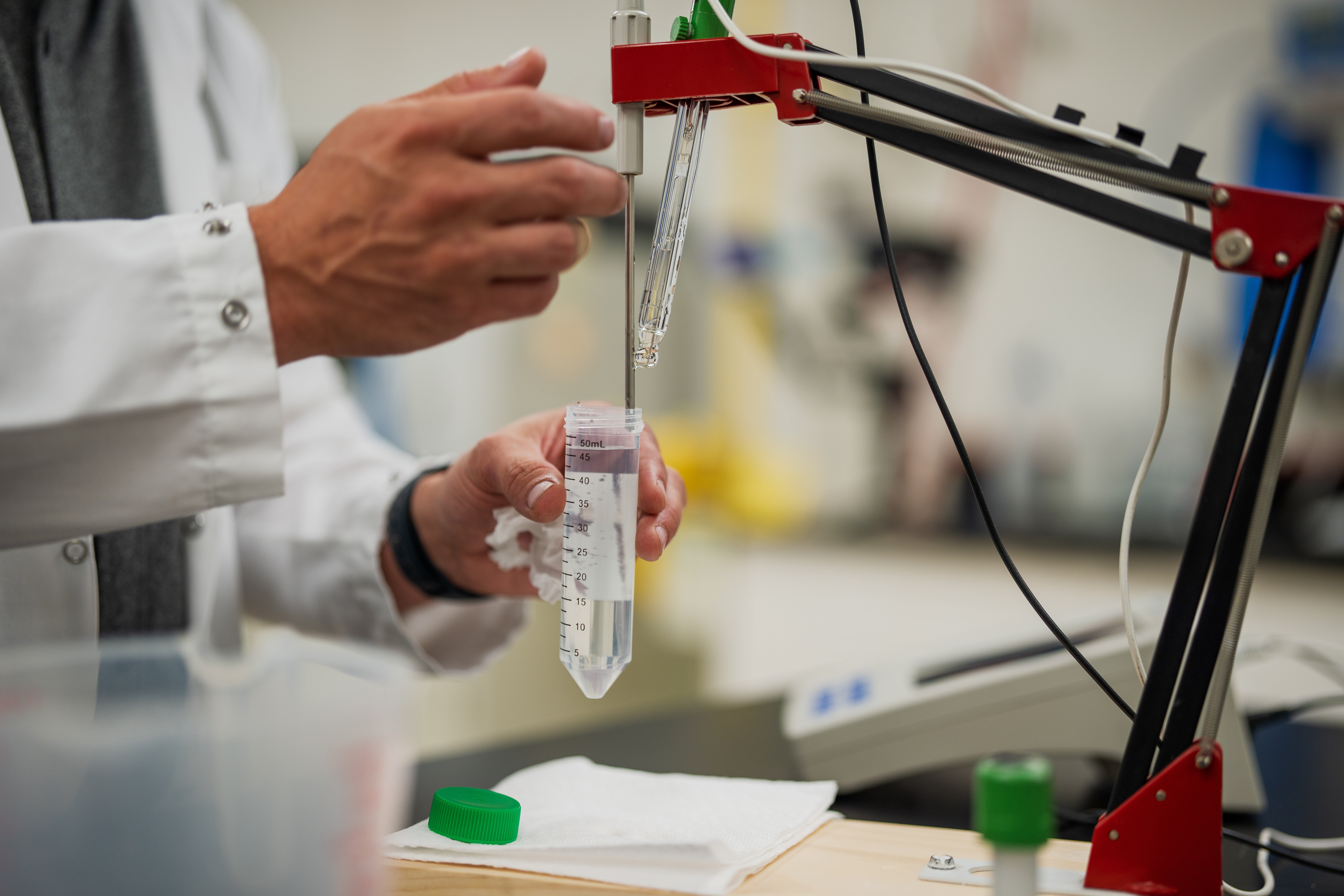 The Importance of Healthcare Accounting Software