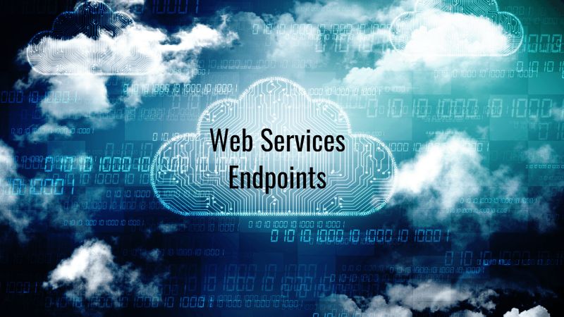 WebservicesEndpoints Extending Acumatica Web Service Endpoints